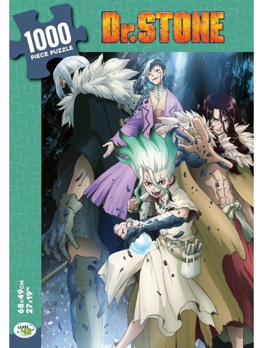 Dr. Stone puzzle 1000 pièces main product photo