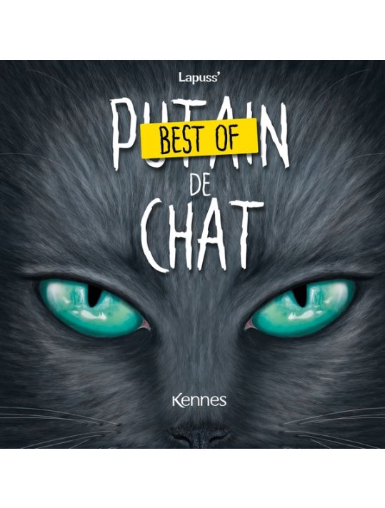 Best of putain de chat main product photo
