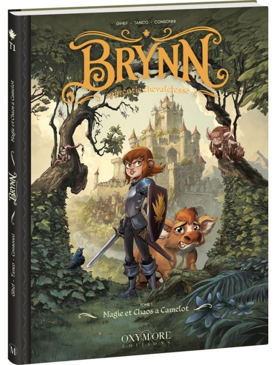 Brynn apprentie chevaleresse tome 1 main product photo