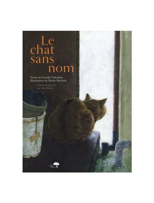 chat sans queue nom