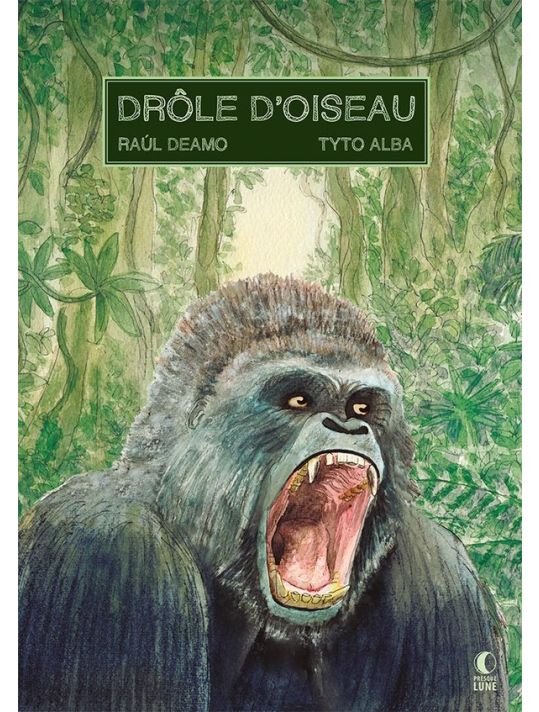 Drôle d'oiseau main product photo