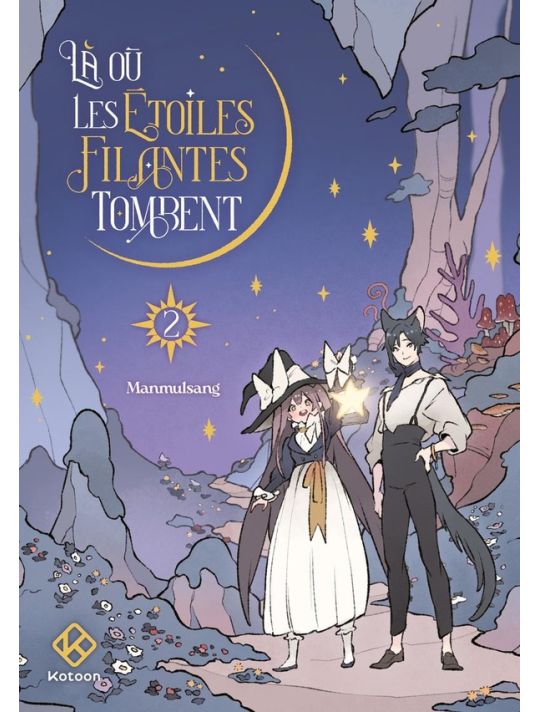 Là où les étoiles filantes tombent tome 2 main product photo
