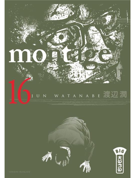 Montage tome 16 main product photo