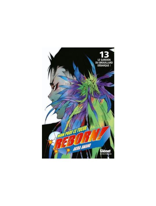 Reborn tome 13 main product photo