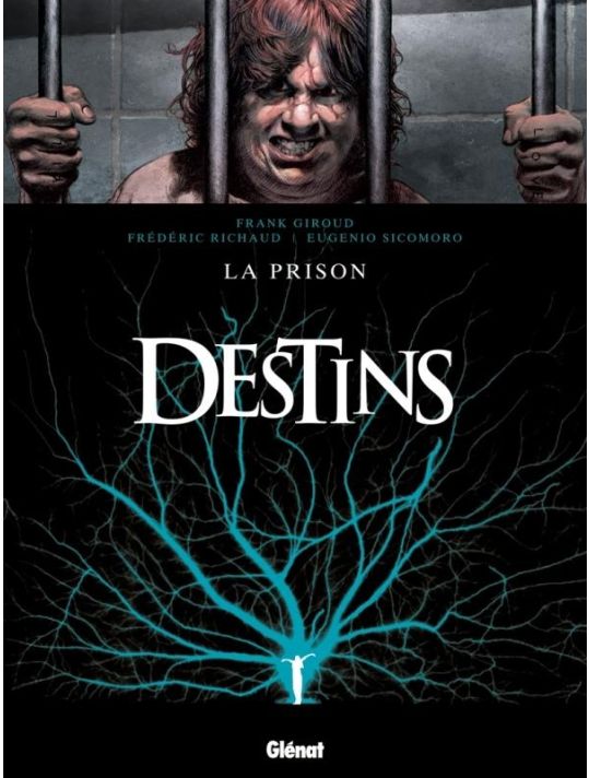 Destins Tome 12 ; La Prison main product photo