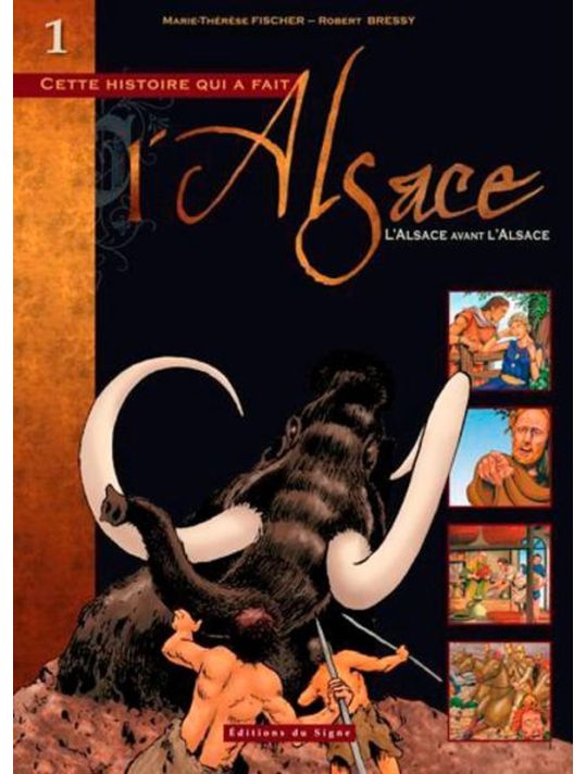 bd alsace tome 1 - l'alsace avant l'alsace main product photo