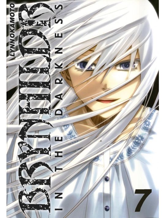 Brynhildr in the Darkness tome 7 main product photo