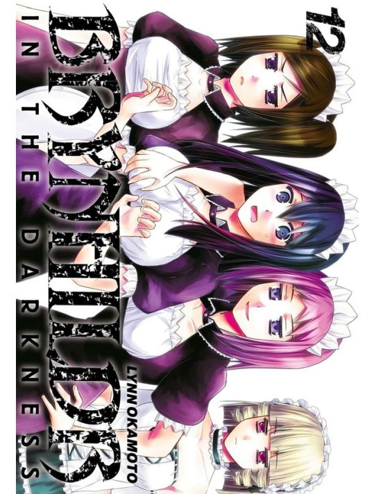 Brynhildr in the darkness tome 12 main product photo