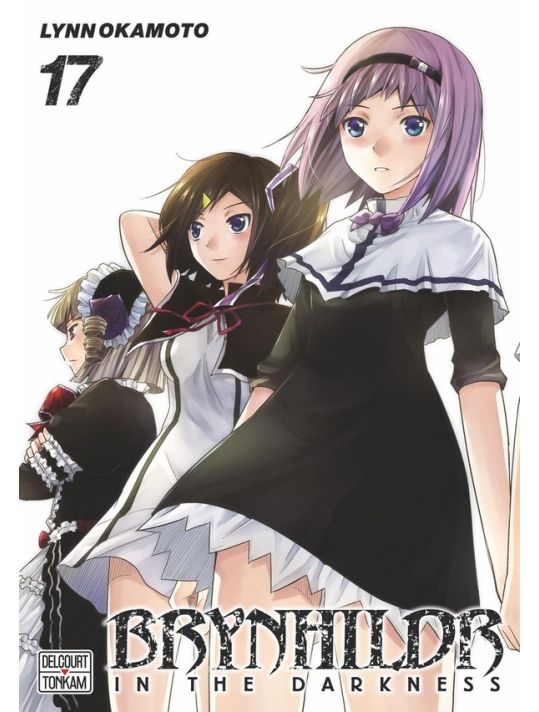 Brynhildr in the darkness tome 17 main product photo