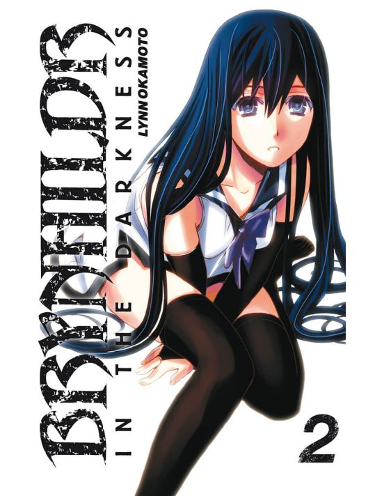 Brynhildr in the darkness tome 2 main product photo