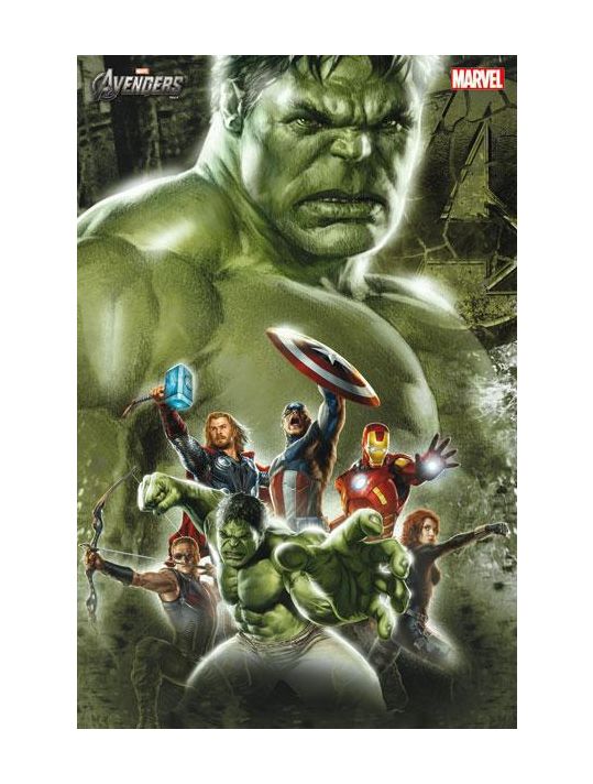 Hulk (série 2012) tome 1 (variant cover) main product photo