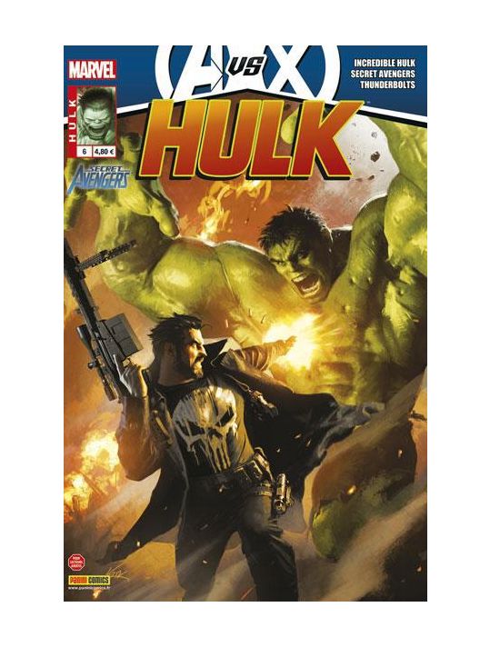 Hulk N.6 main product photo