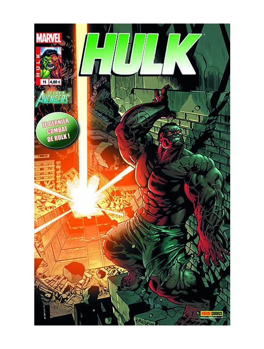 Hulk 2012 011 main product photo