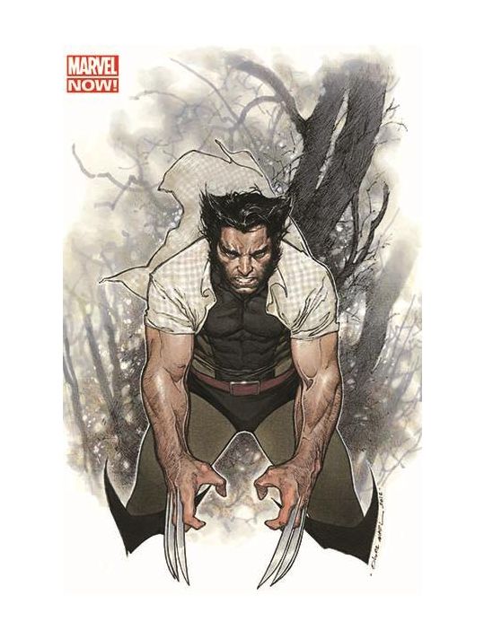 Wolverine 2013 tome 1 (variant cover) main product photo