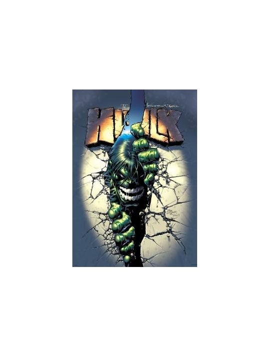 Hulk par Jones et Deodato Jr tome 2 main product photo