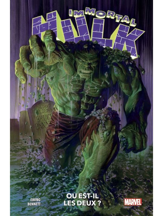 Immortal Hulk tome 1 main product photo