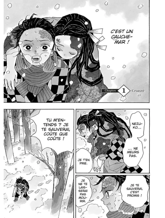 Planche intérieure du tome 1 de Demon Slayer après le drame familial