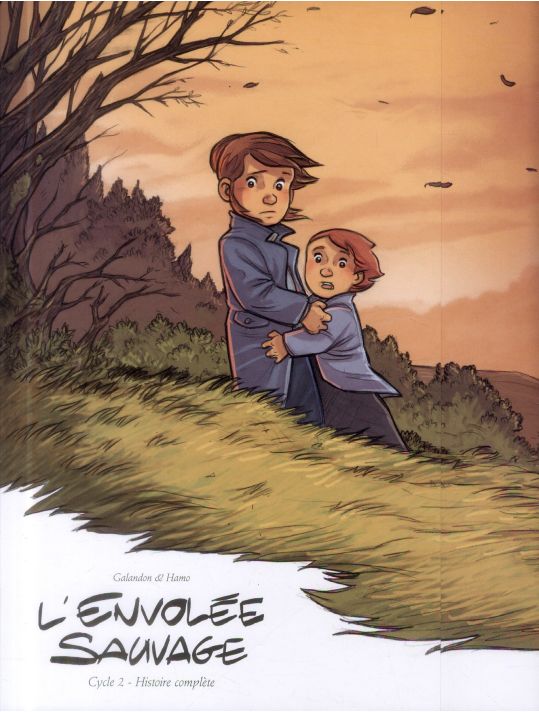 l'envolée sauvage tome 3 et tome 4 - coffret main product photo