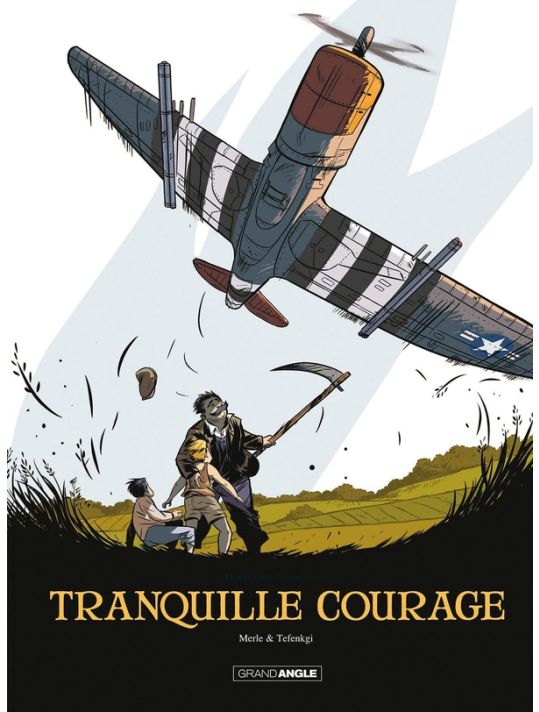 Tranquille courage - intégrale main product photo