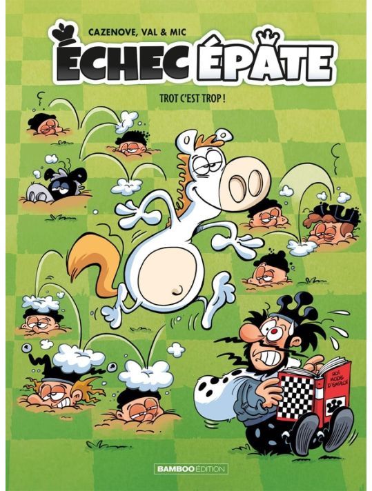 Échec épate tome 2 main product photo