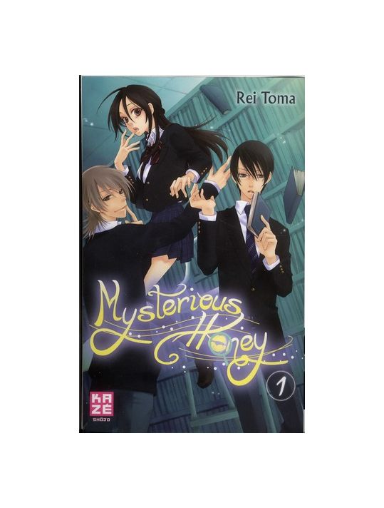 mysterious honey tome 1 main product photo