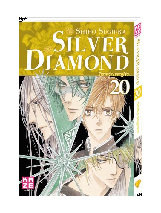 Silver Diamond Tome 20 main product photo