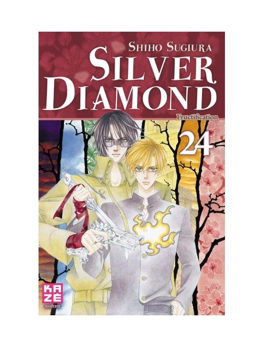 Silver Diamond tome 24 main product photo