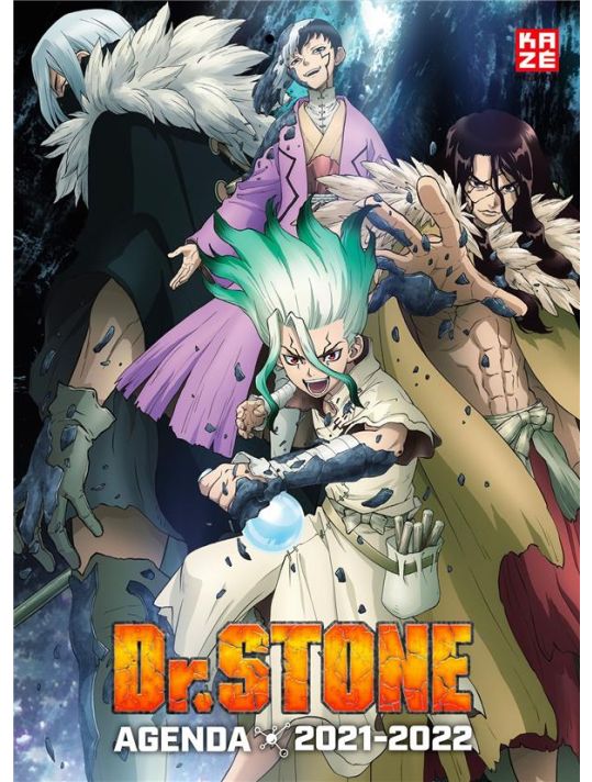 Dr. Stone - agenda 2021-2022 main product photo