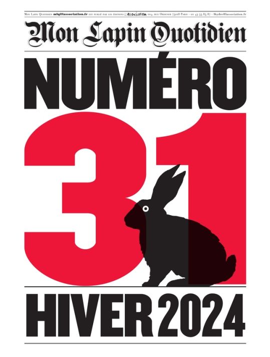 Revue Mon Lapin Quotidien tome 31 main product photo