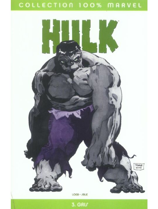 hulk tome 3 - gris main product photo