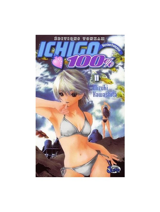 ichigo 100% tome 11 main product photo