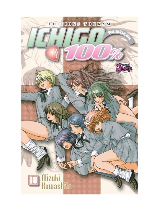 ichigo 100% tome 18 main product photo