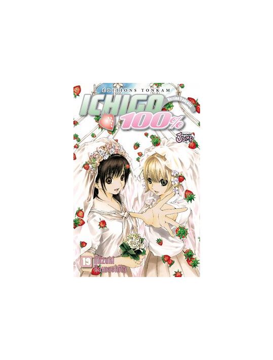 ichigo 100% tome 19 main product photo