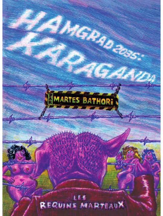 Hamgrad 2035 - Karaganda main product photo