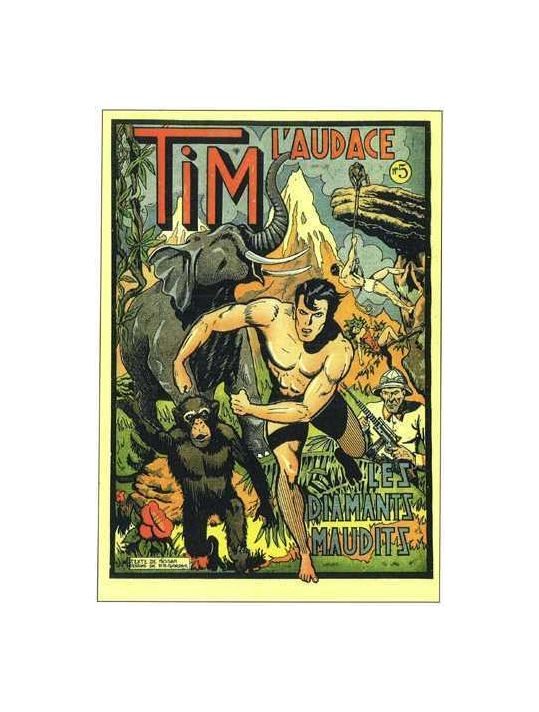 Tim l'audace : Intégrale vol.1 : les chutes de la mort main product photo