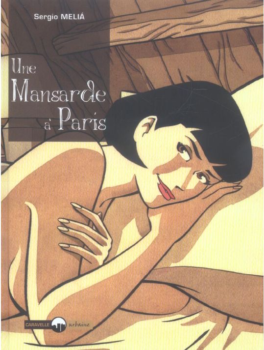une mansarde à paris main product photo