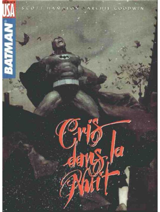 Batman - Cris dans la nuit main product photo