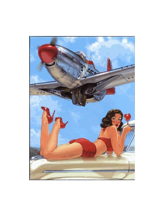 pin up wings ; coffret tomes 1 et 3 + cale main product photo