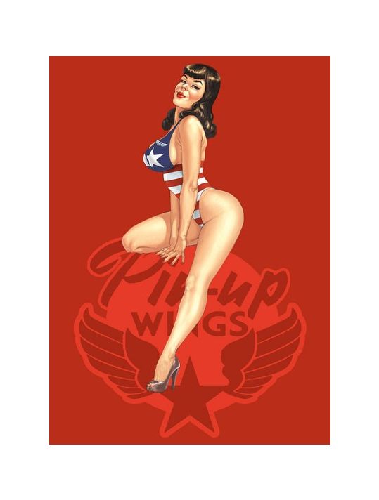 Pin-Up Wings - coffret 4 tomes + plaque métal main product photo