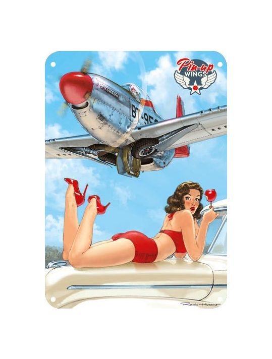 Plaque métal Romain Hugault - P-51 main product photo