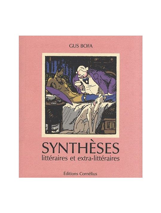 synthèses littéraires et extra-littéraires main product photo