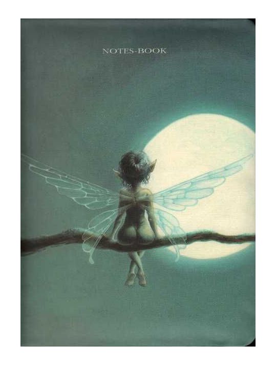 notes-book clair de lune main product photo