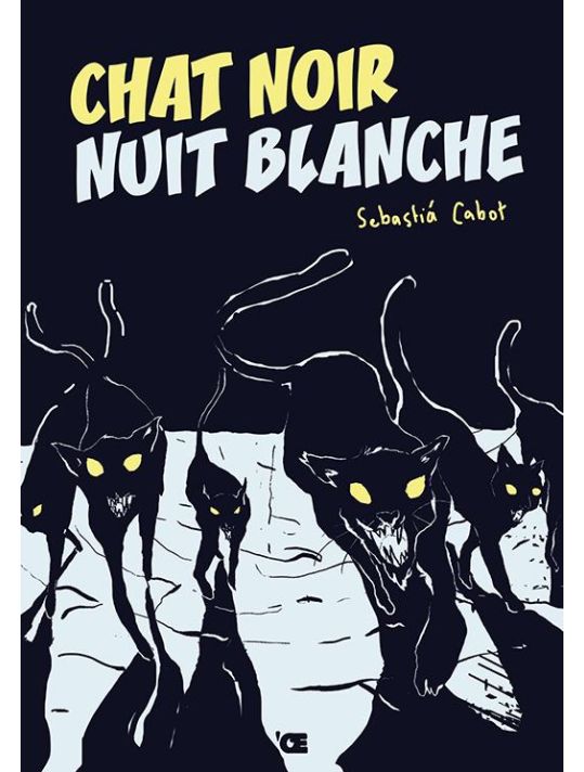 Chat noir nuit blanche main product photo