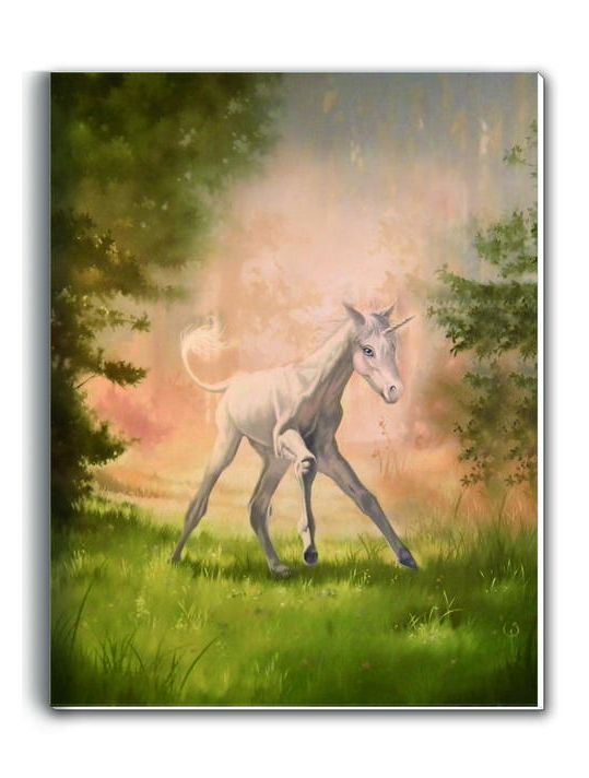 cahier licorne Tome 2 main product photo