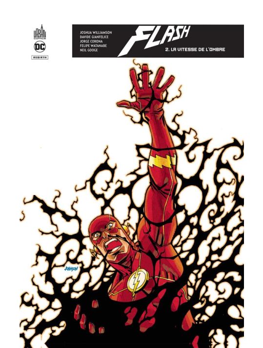 Flash rebirth tome 2 main product photo