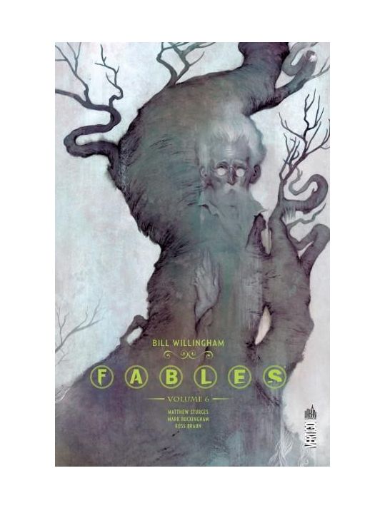 Fables - intégrale tome 6 main product photo