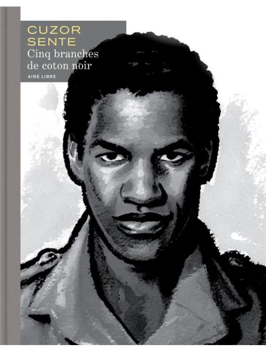 Cinq branches de coton noir - grand format n&b main product photo