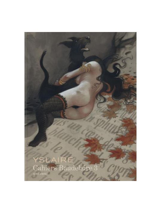 Cahiers Baudelaire tome 3 main product photo