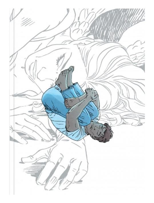 Largo Winch - tirage de tête tome 23 main product photo