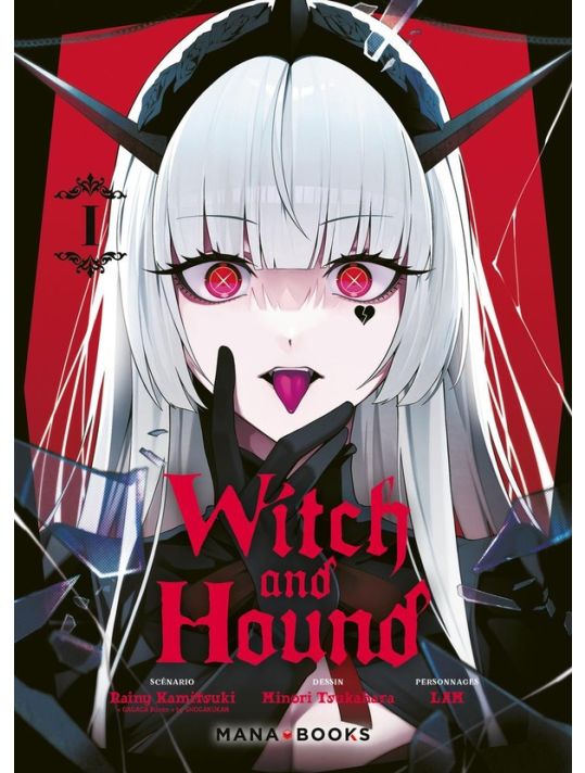 Witch and Hound tome 1 main product photo